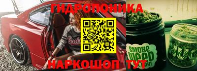 тгк Дмитров