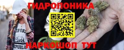дмт Долгопрудный
