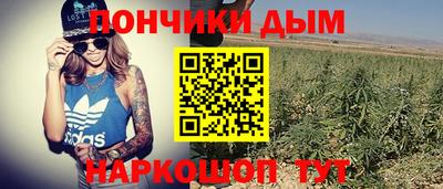 тгк Дмитров