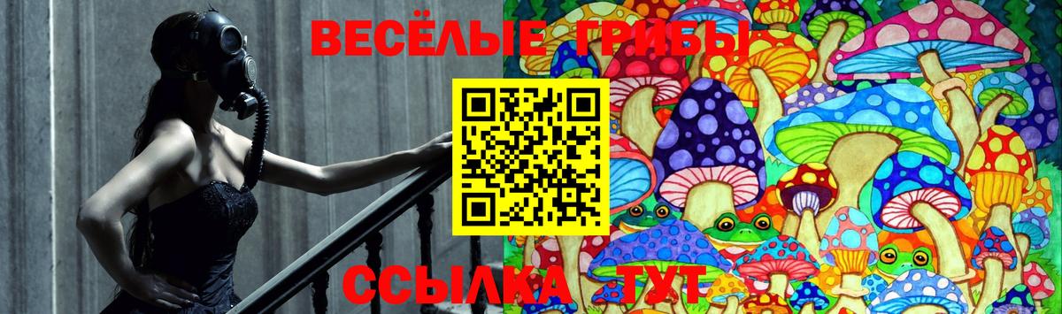 Псилоцибиновые грибы Psilocybe Воркута